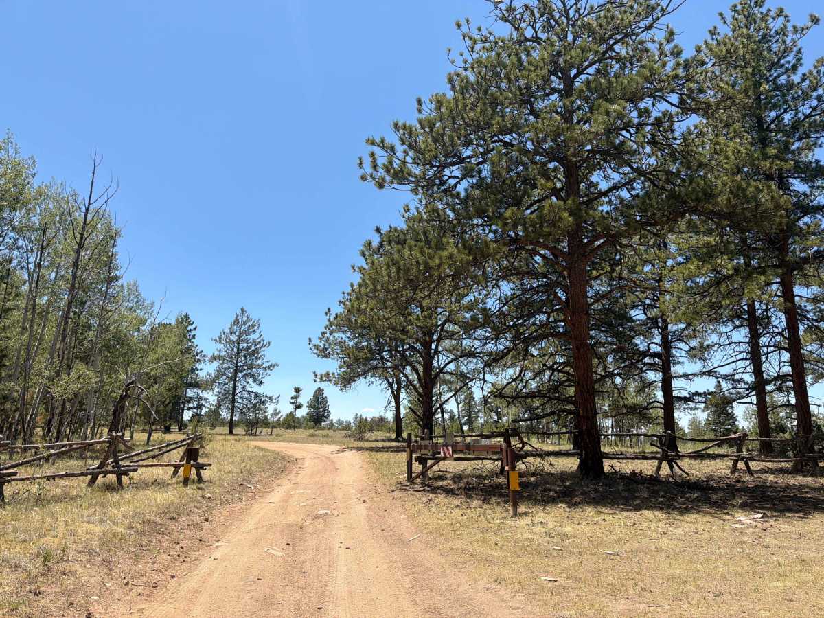 Burma Shave Road - FS 242 trail photo