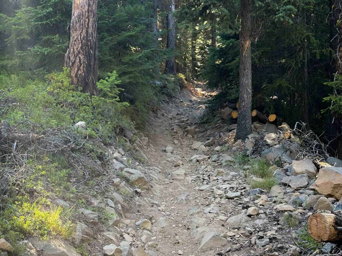 Manastash Lake - FS 1350  photo 2