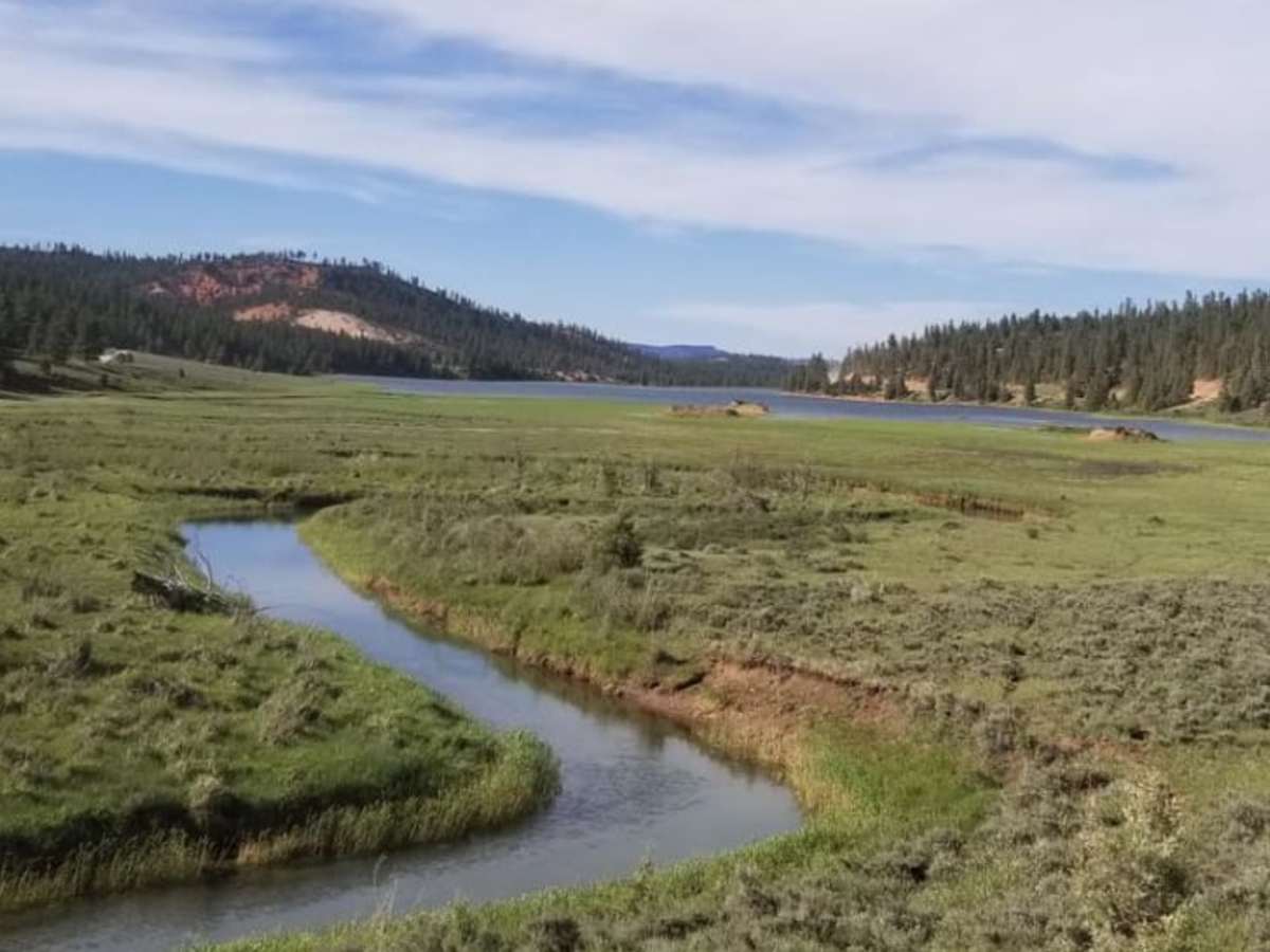 Tropic Reservoir Road trail photo