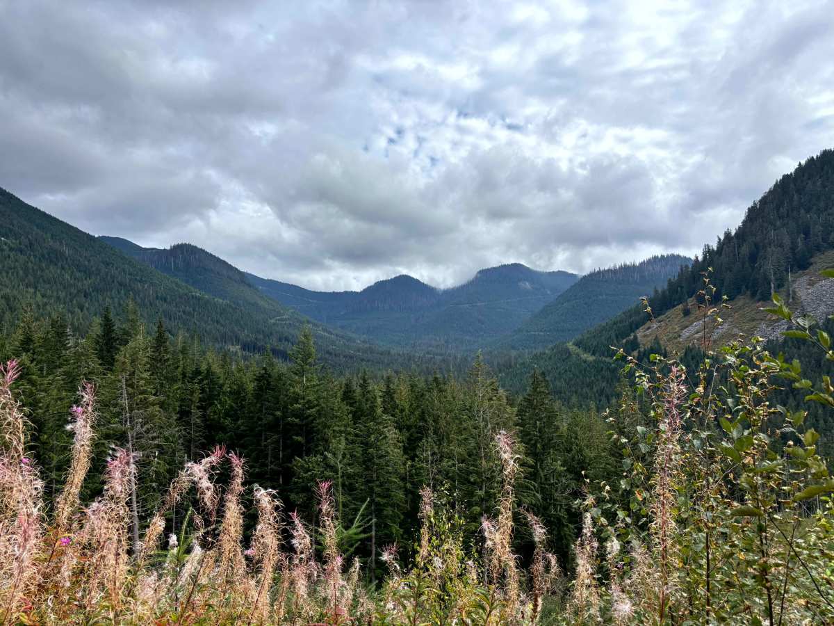 Margaret Creek Pass photo 3