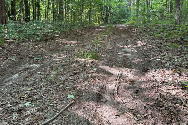 East Bear Creek Trail