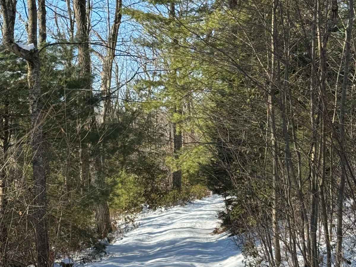 Duncan Trail photo 4