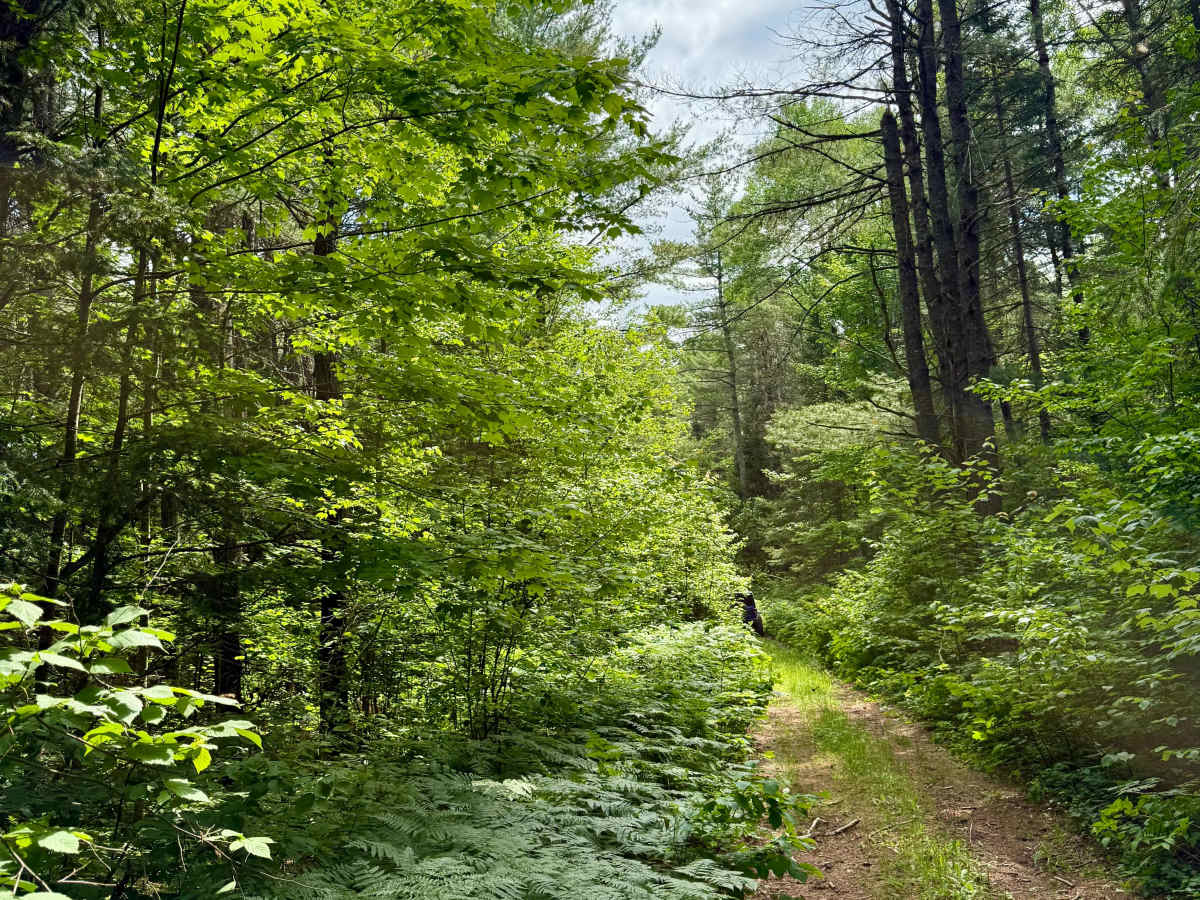 Perry Creek Passage photo 2