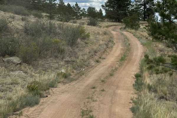 Gunbarrel Road