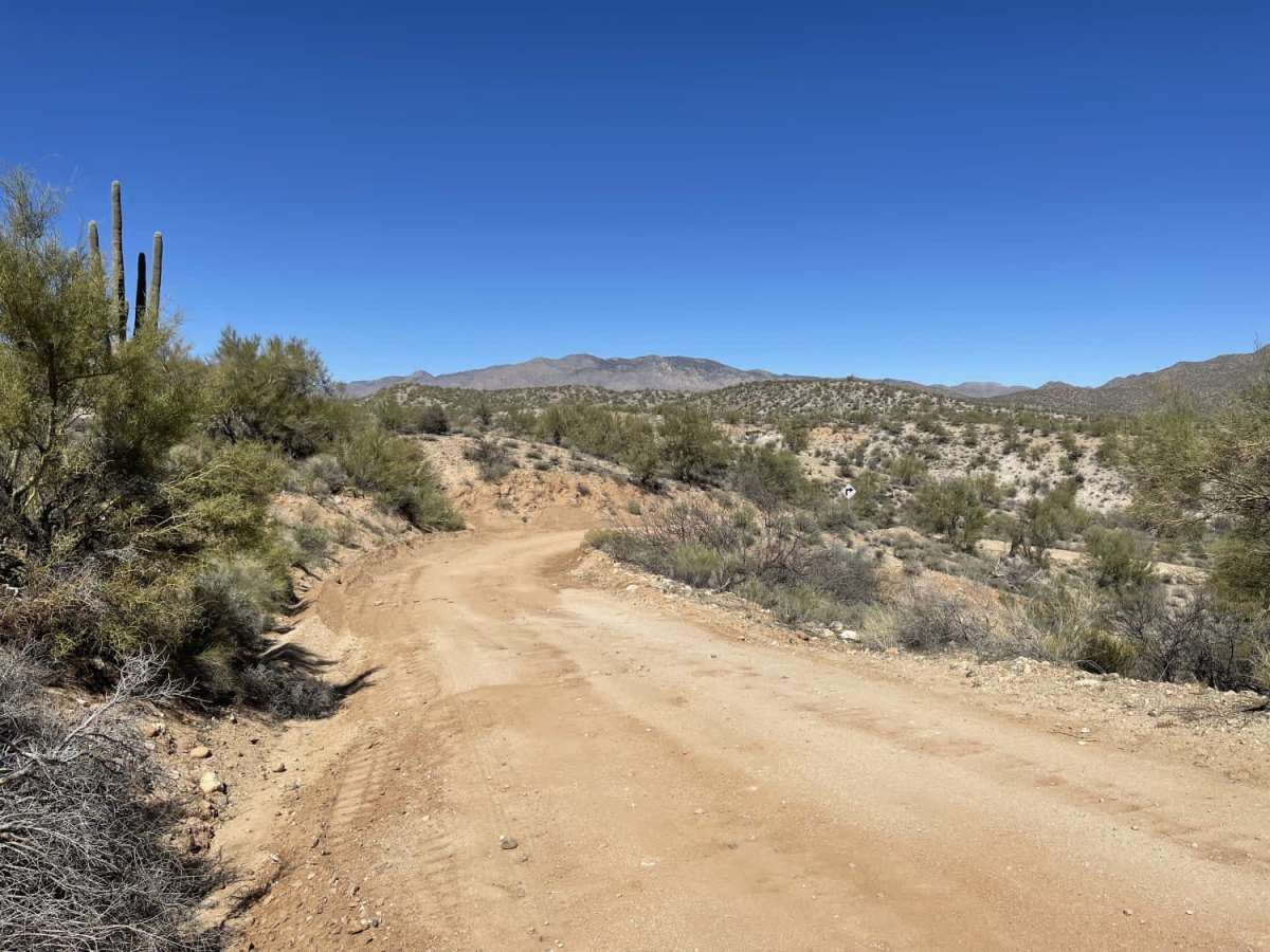 Black Hills, Box Canyon and Beyond photo 5