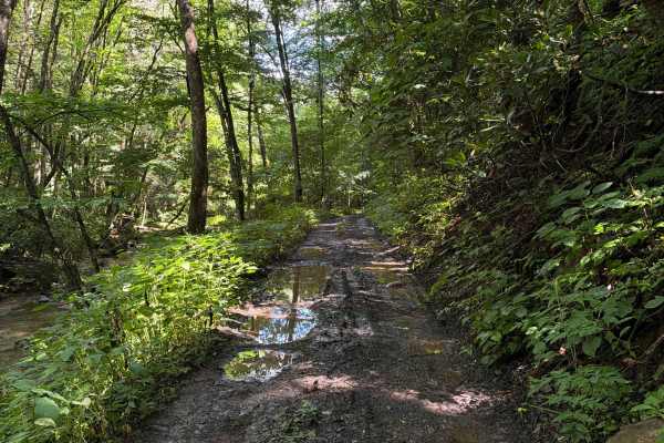 Hills Creek Road