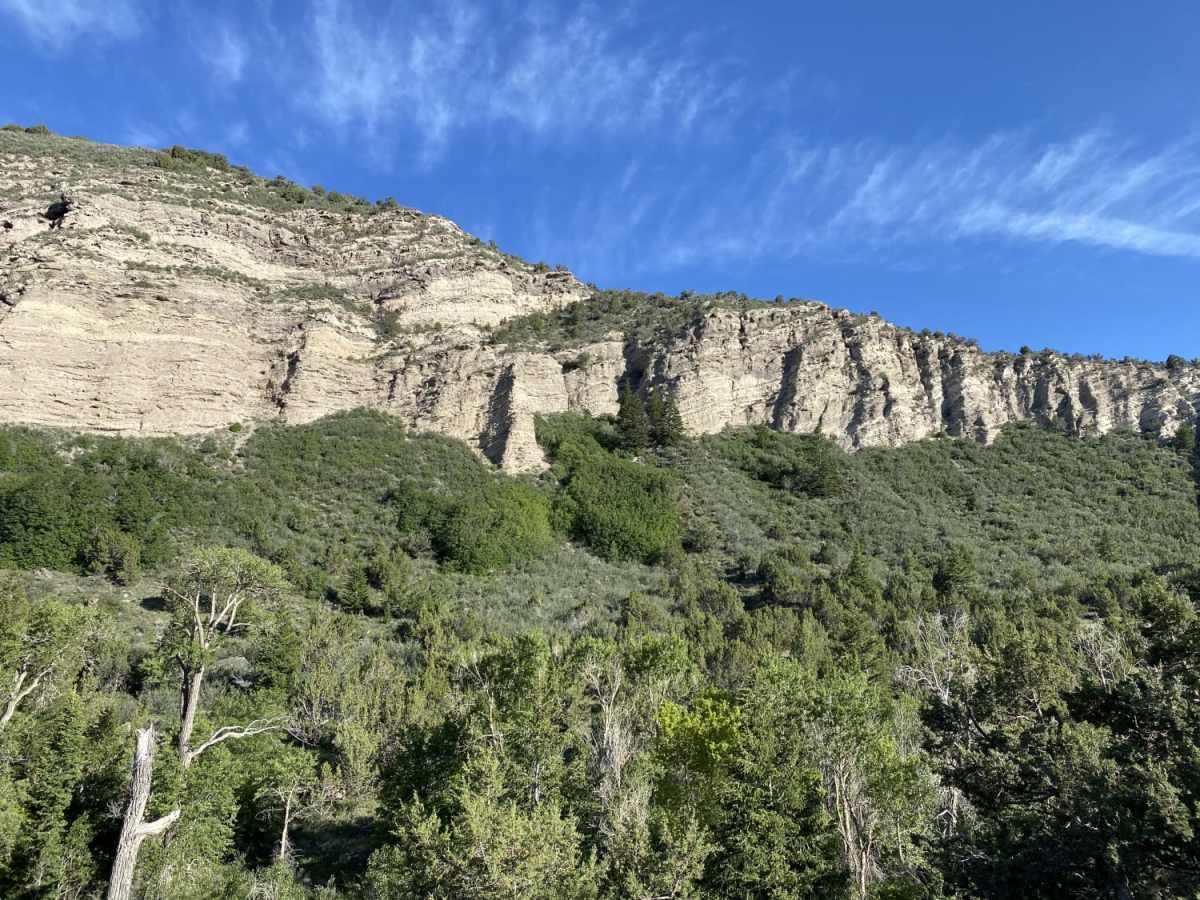 South Willow Canyon photo 6