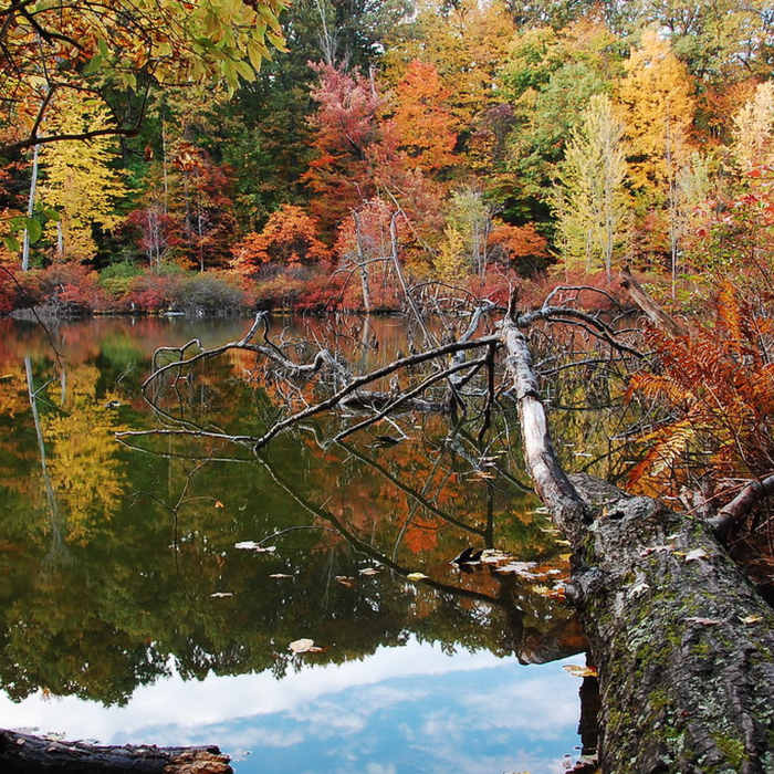 Devils Bathtub with autumn colors. Near Grasslands Trail