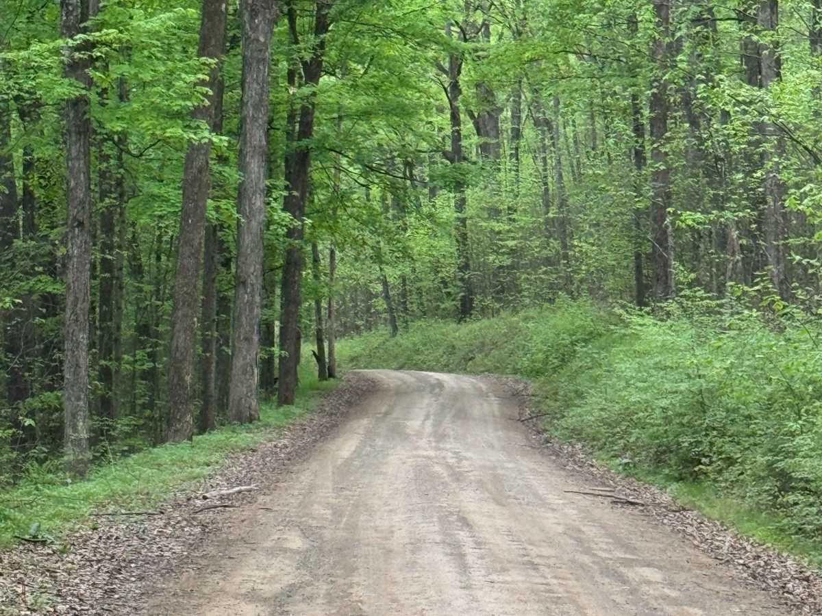 Twelve Mile Road photo 6