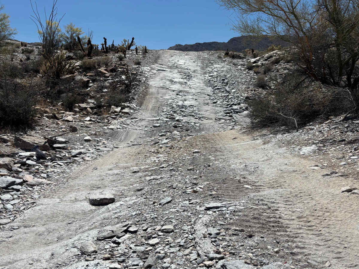 BLM 0130 photo 3