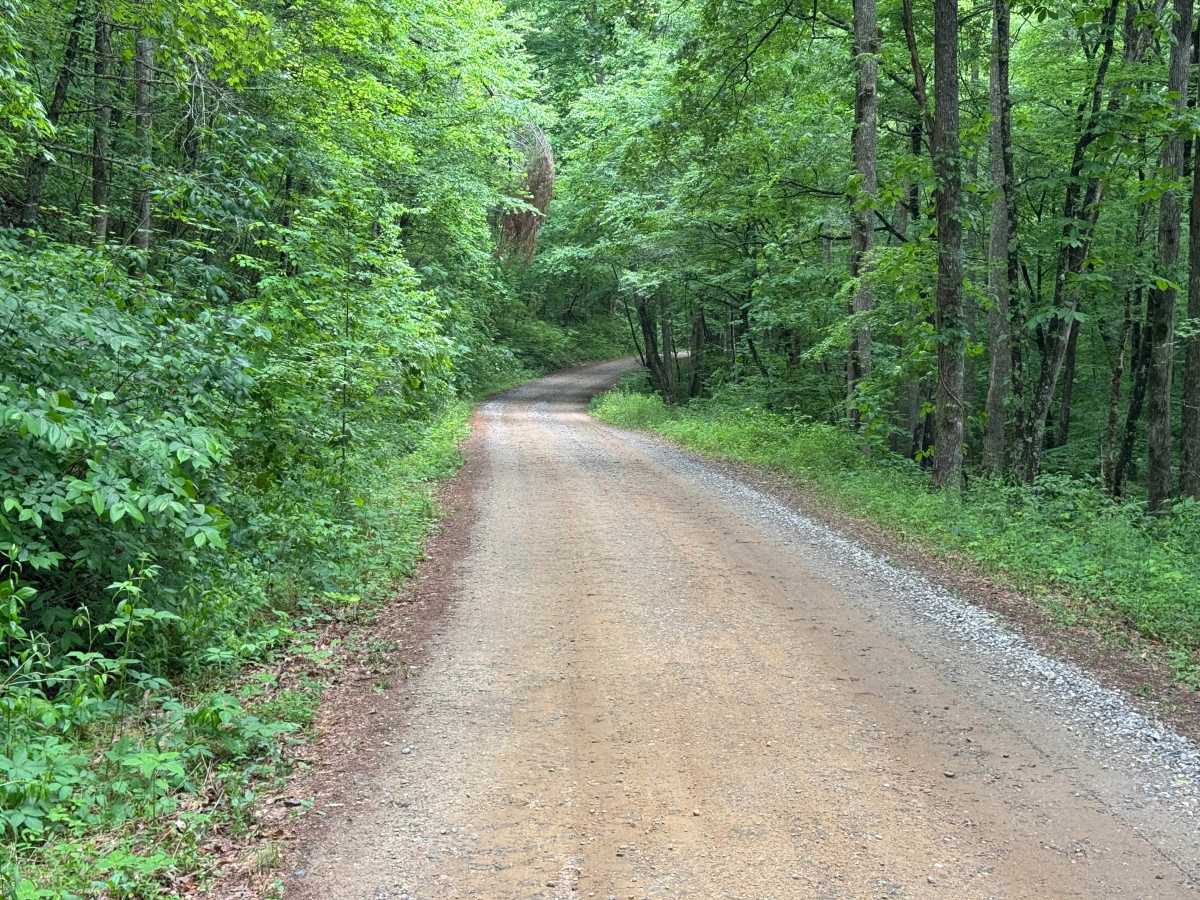 Cavender Gap - CR 163 photo 4
