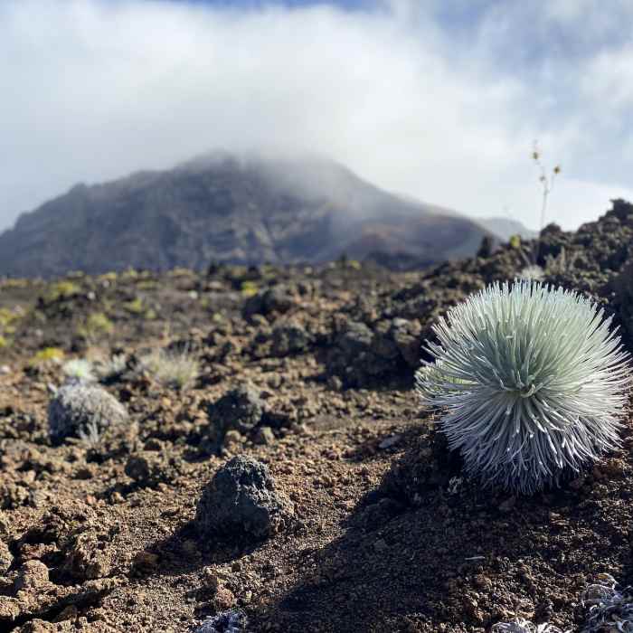 Near Haleakala Crater - Sliding Sands Trail to Halemau'u Trailhead