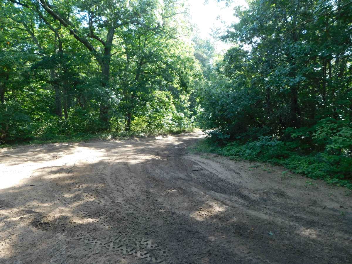Linderman Road Forest Route photo 4