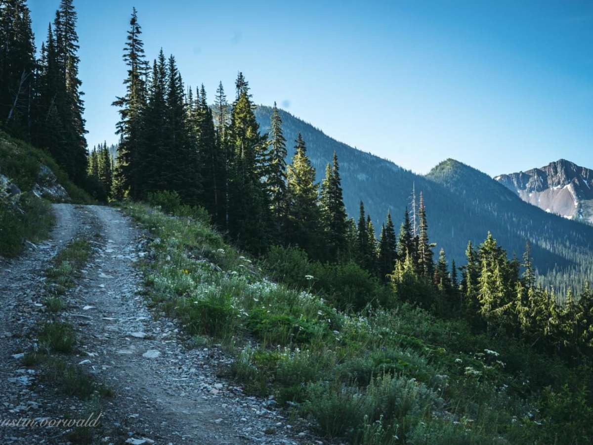 Hart's Pass Road 54007 photo 4