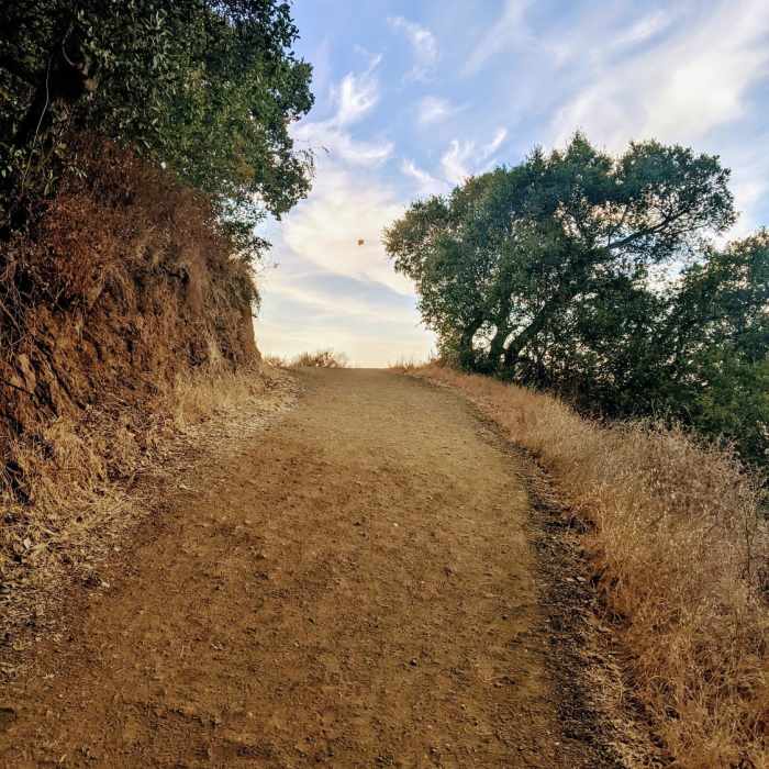 Near Rhus Ridge Trail