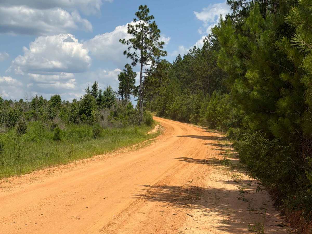 Paulk Road photo 4