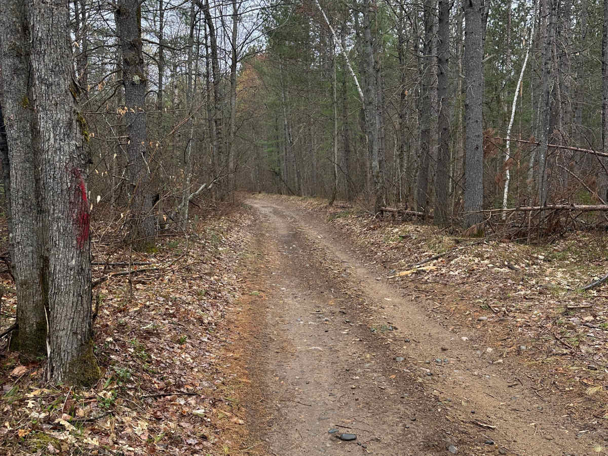 AuSable Trail photo 3