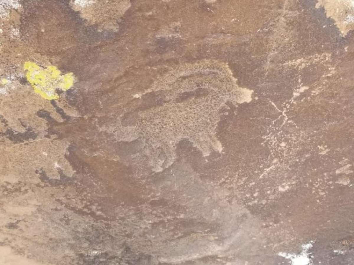 Black Mountain Petroglyph Site photo 4