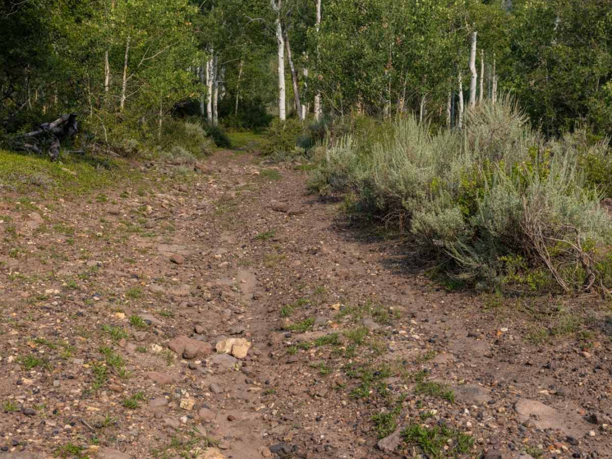 Meadow Gulch Trail photo 2