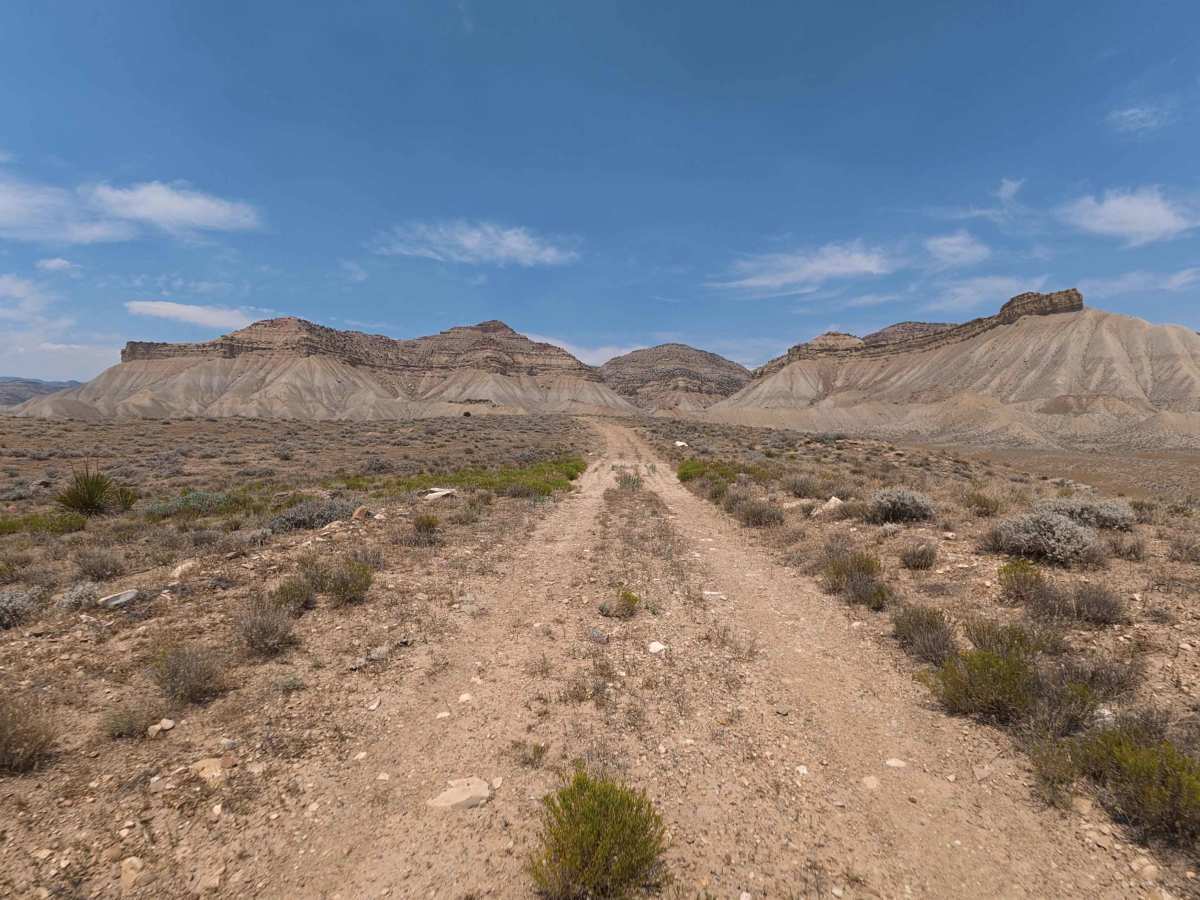 BLM 113 photo 2