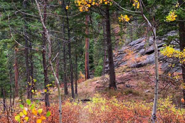 Lower Smith Ridge