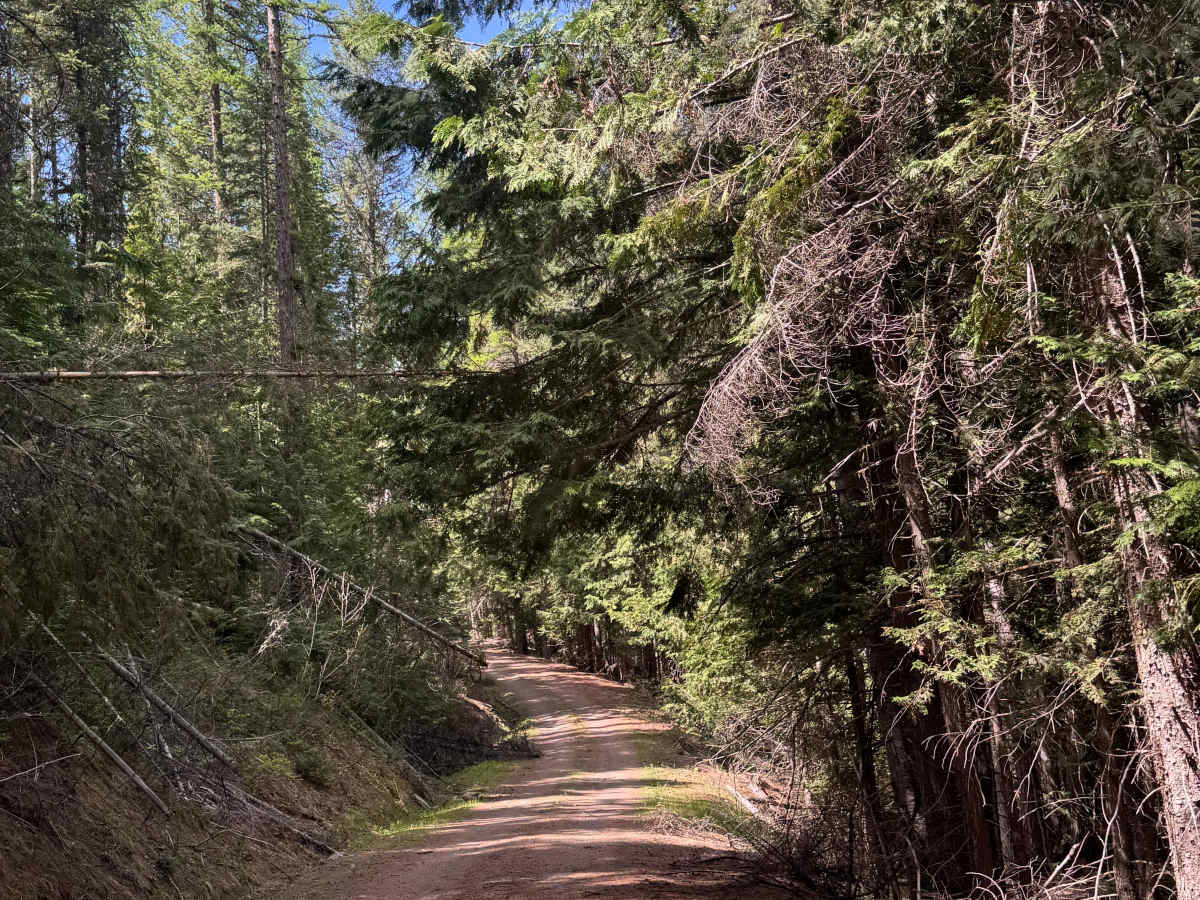Barnaby Buttes  Trail photo 2
