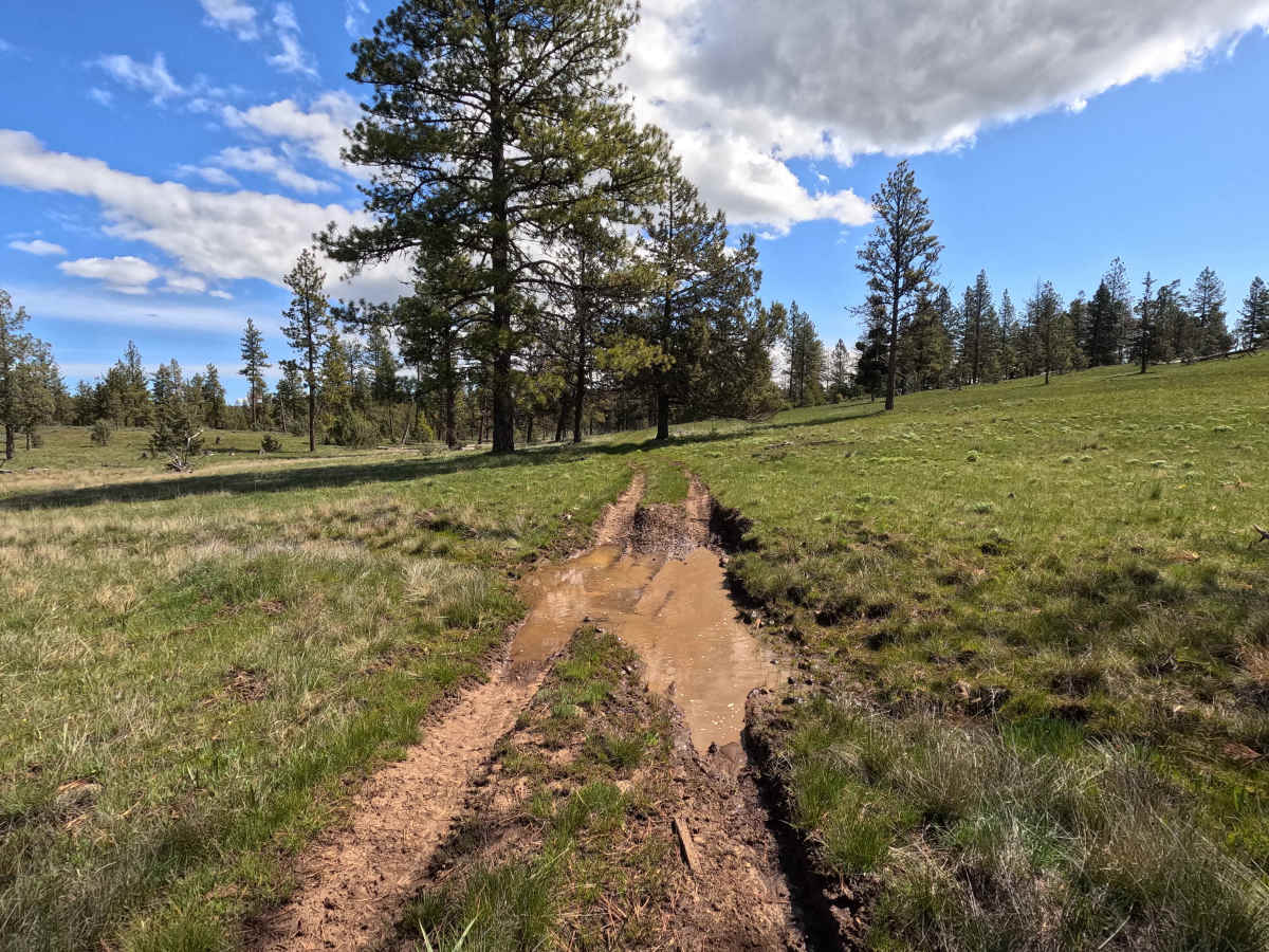 Trail 70 photo 3