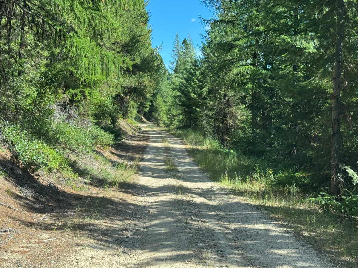 Rock Creek Road - FSR 444 photo 4