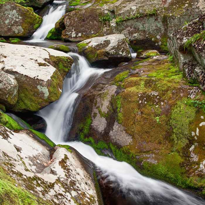 Near Rose River + Dark Hollow Falls via Big Meadows Near Rose River + Dark Hollow Falls via Big Meadows