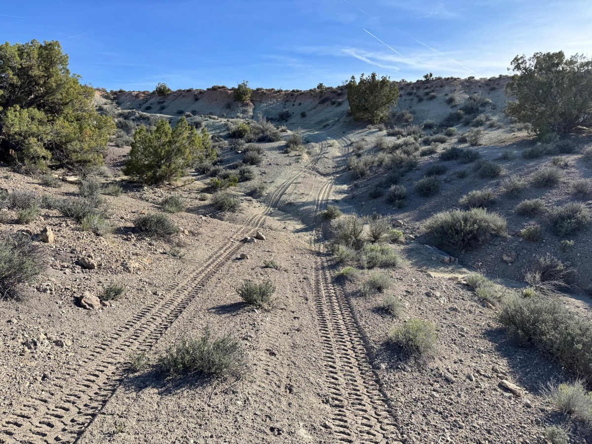 Yellow Cat Loop photo 5