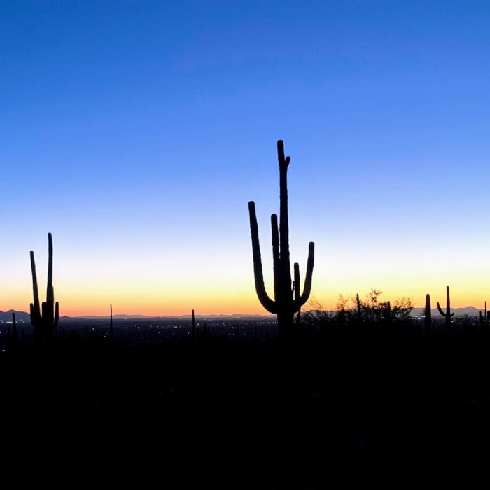 Near Jacob's Crosscut Trail #58