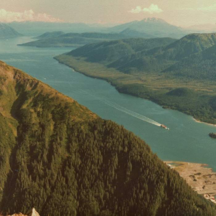 Near Mt. Juneau Trail