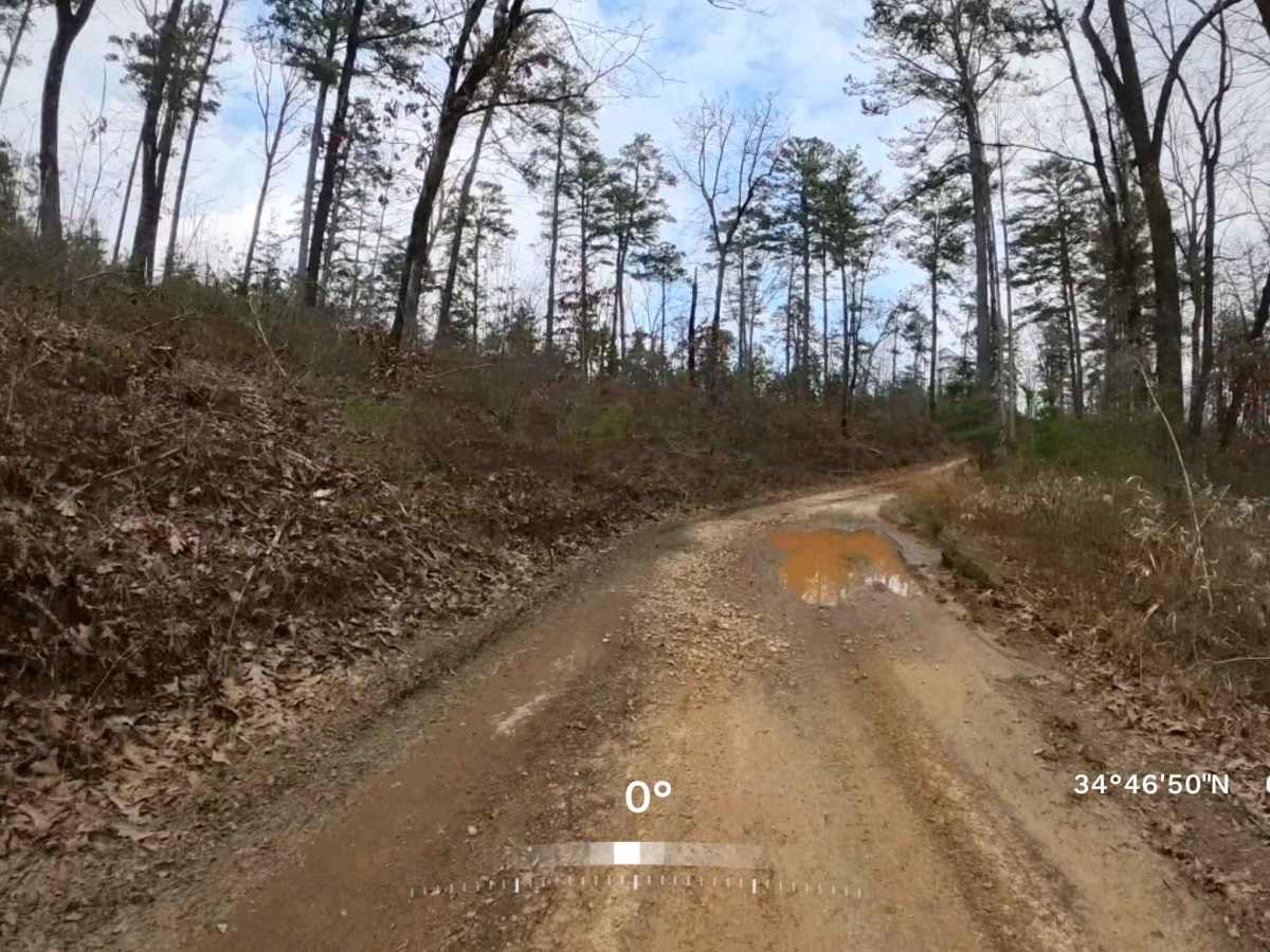 Water Gauge Road - FS 511 photo 5