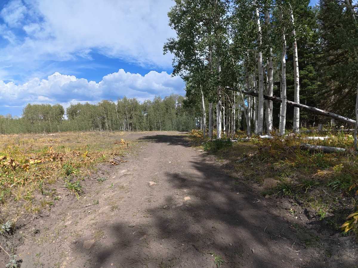 Bear Pen Road trail photo