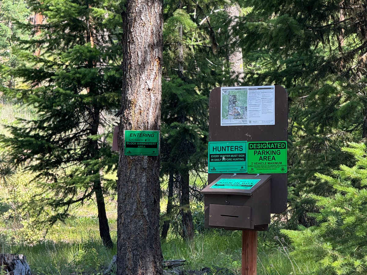 Mayo Gulch  photo 5