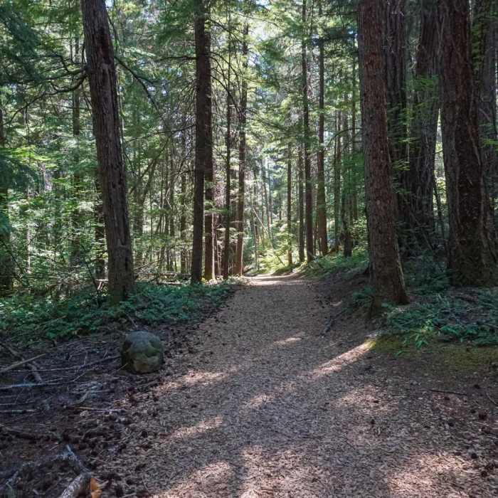 Near Pearsoney Falls Nature Trail