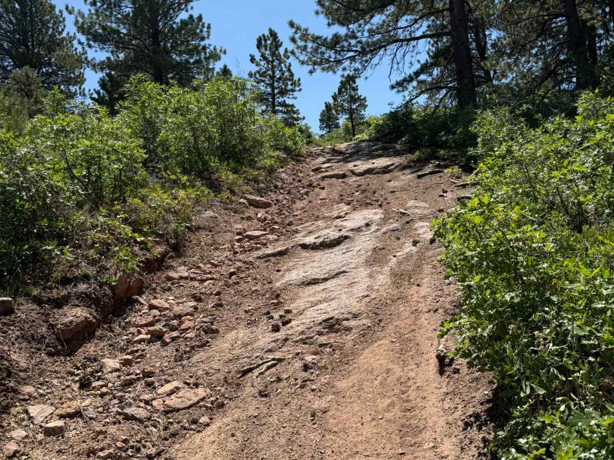 Shay Ridge OHV Trail N0. 162 photo 6