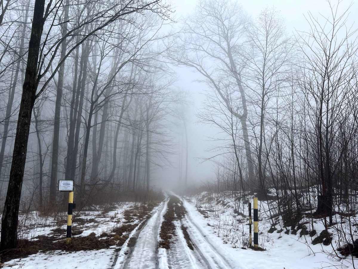 Left Straight Run Trail trail photo