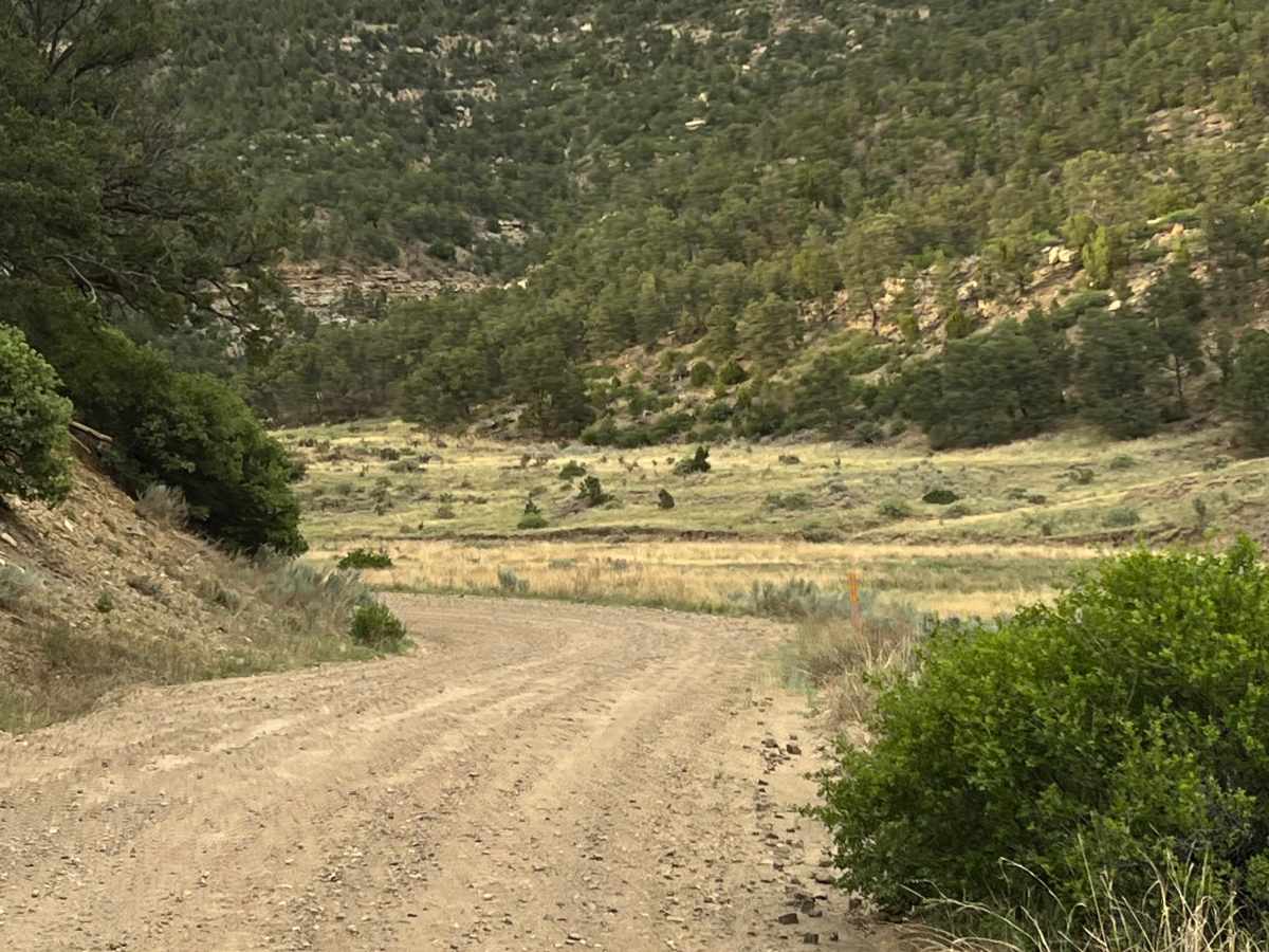Cimarron Run photo 2