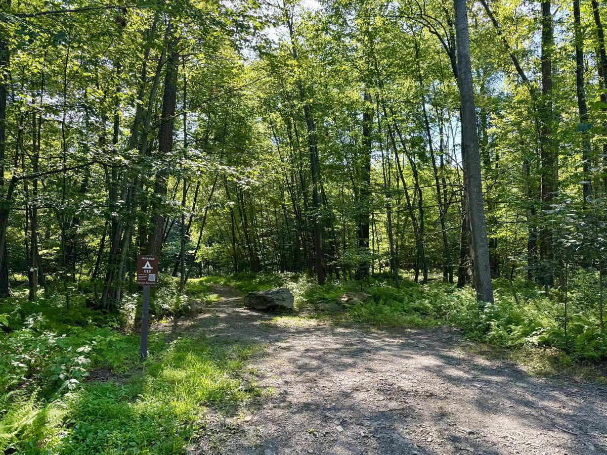 High Rock Road photo 5