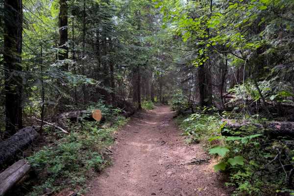 Rufus Trail - FS 148