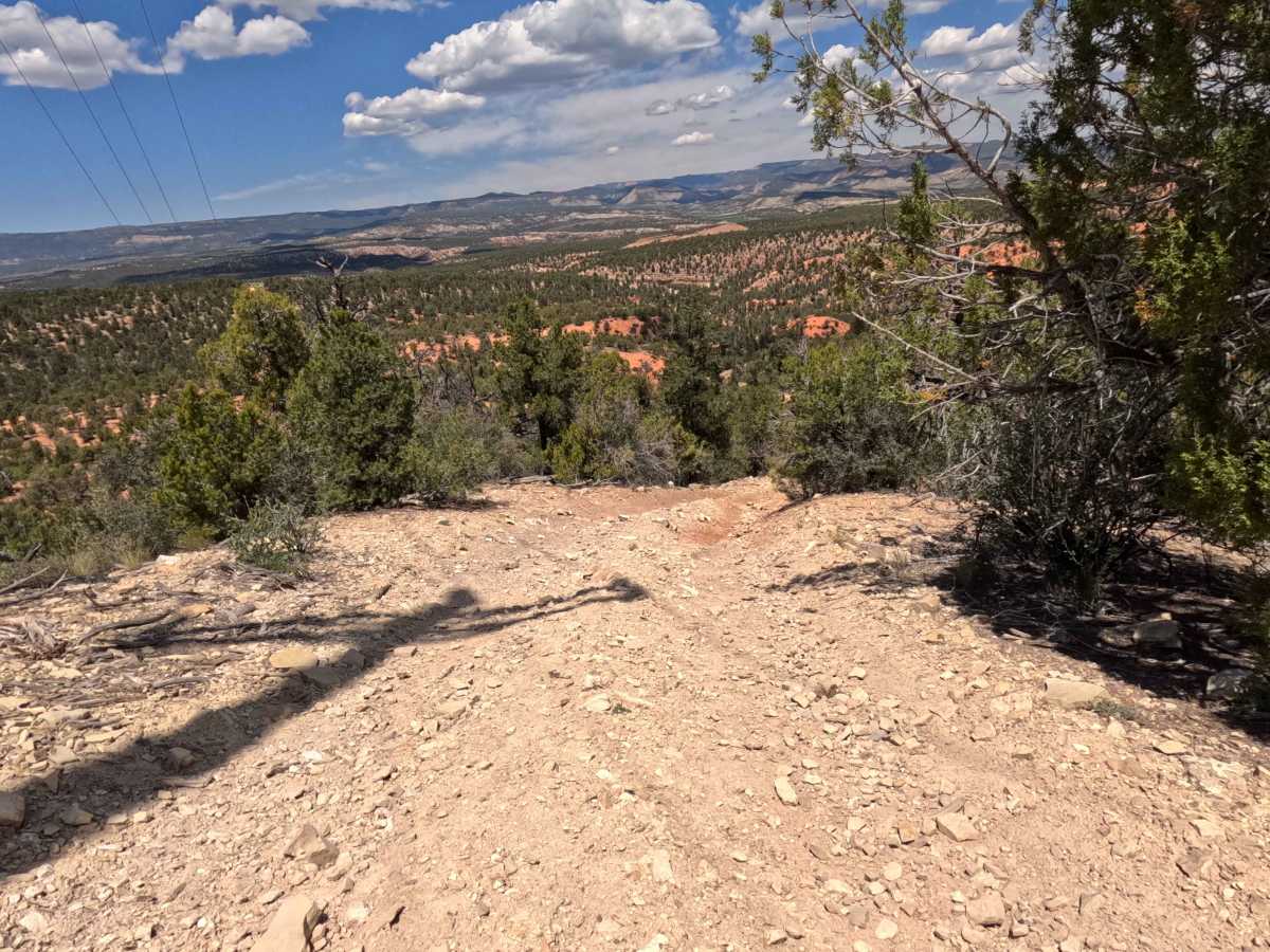 BLM 106Y photo 2