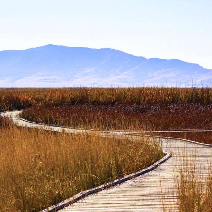 Near Great Salt Lake Shorelands Preserve Boardwalk