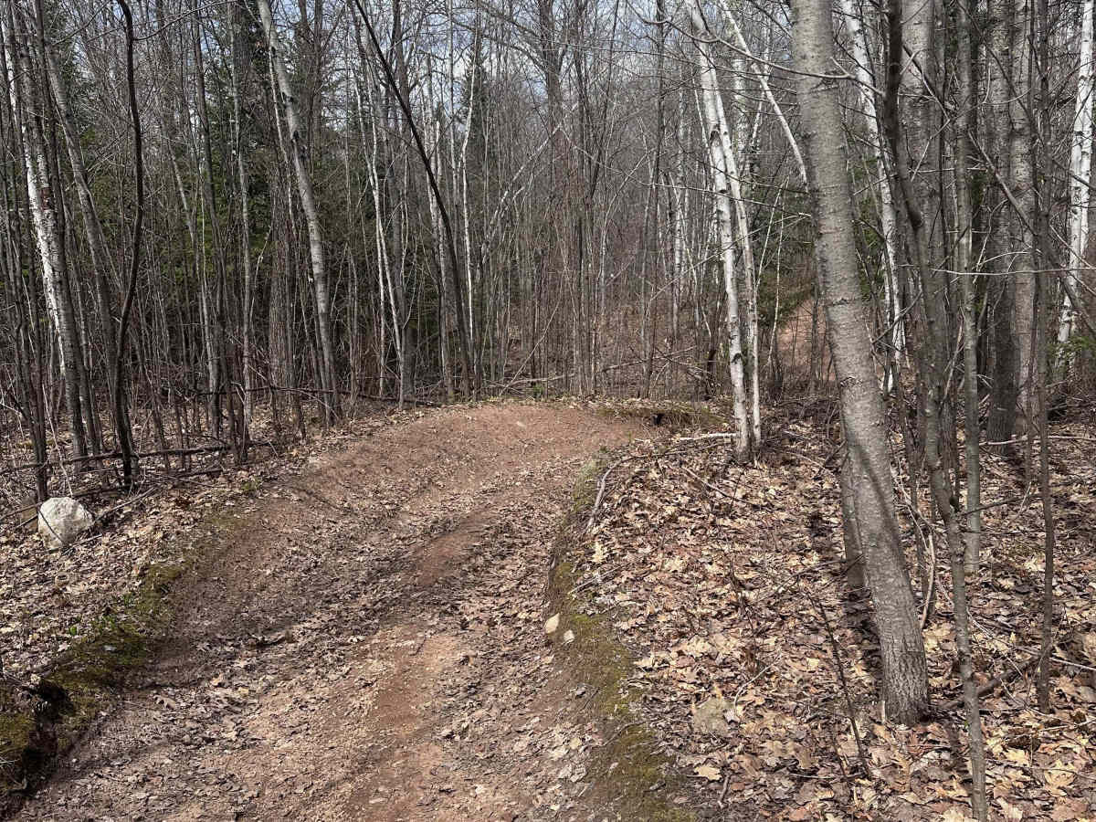 Wilderness Trail photo 6