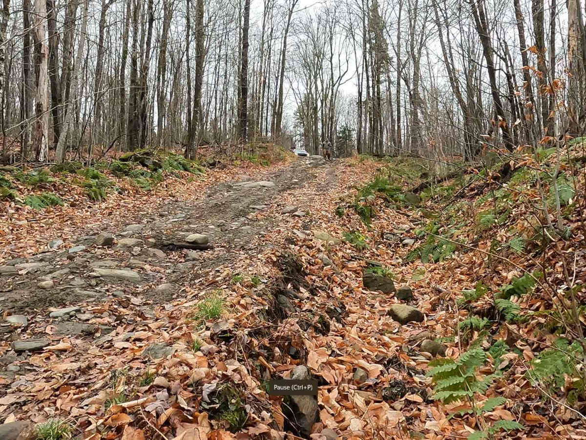 Colby Pond Trail trail photo