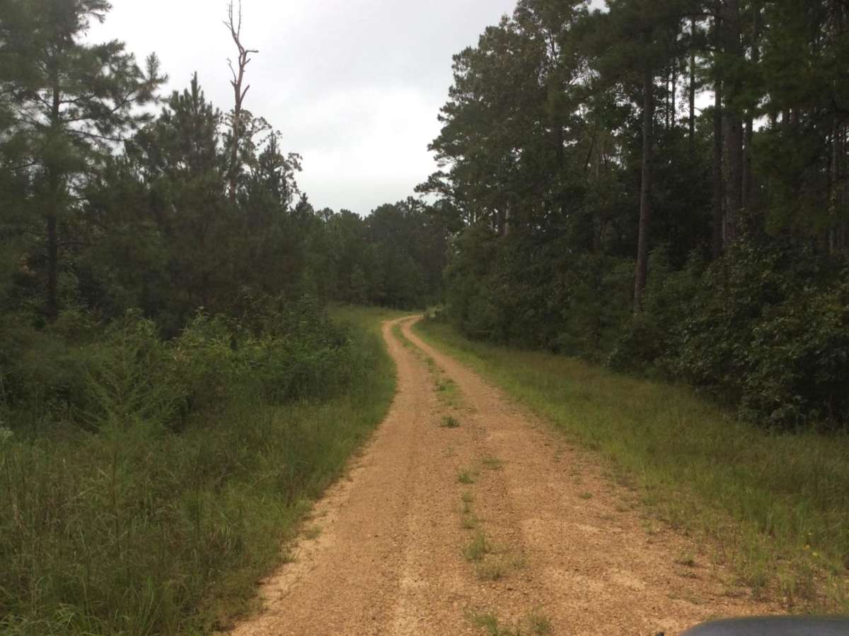 HCNF Swayze Trace Trail Off Road Trail Maps Difficulty Trail Status hcnf-swayze-trace-trail-off-road-trail-maps-difficulty-trail-status