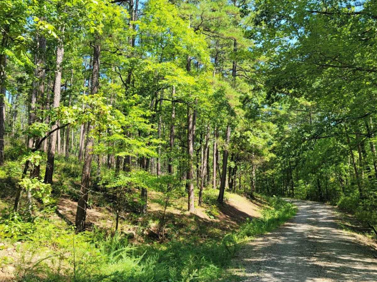Wildcat Hollow photo 6