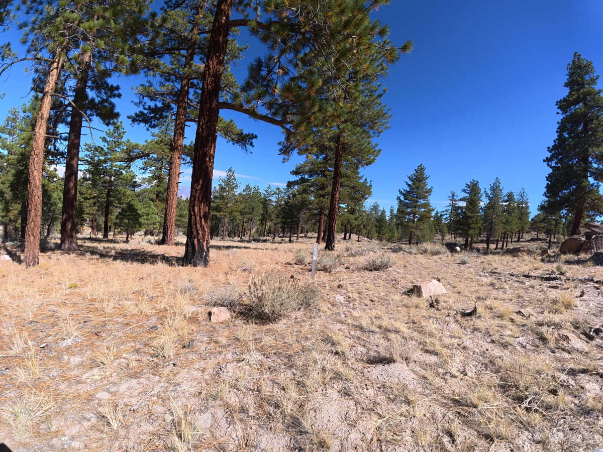 FS 4S55D trail photo