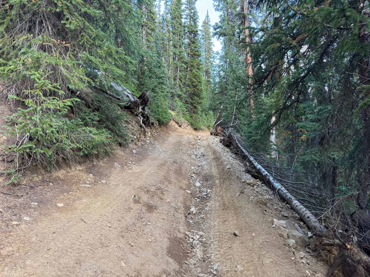 SOB Hill photo 5