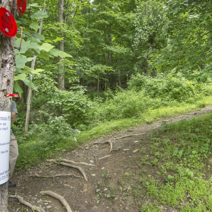 Near Overlook Trail to Lambs Hill